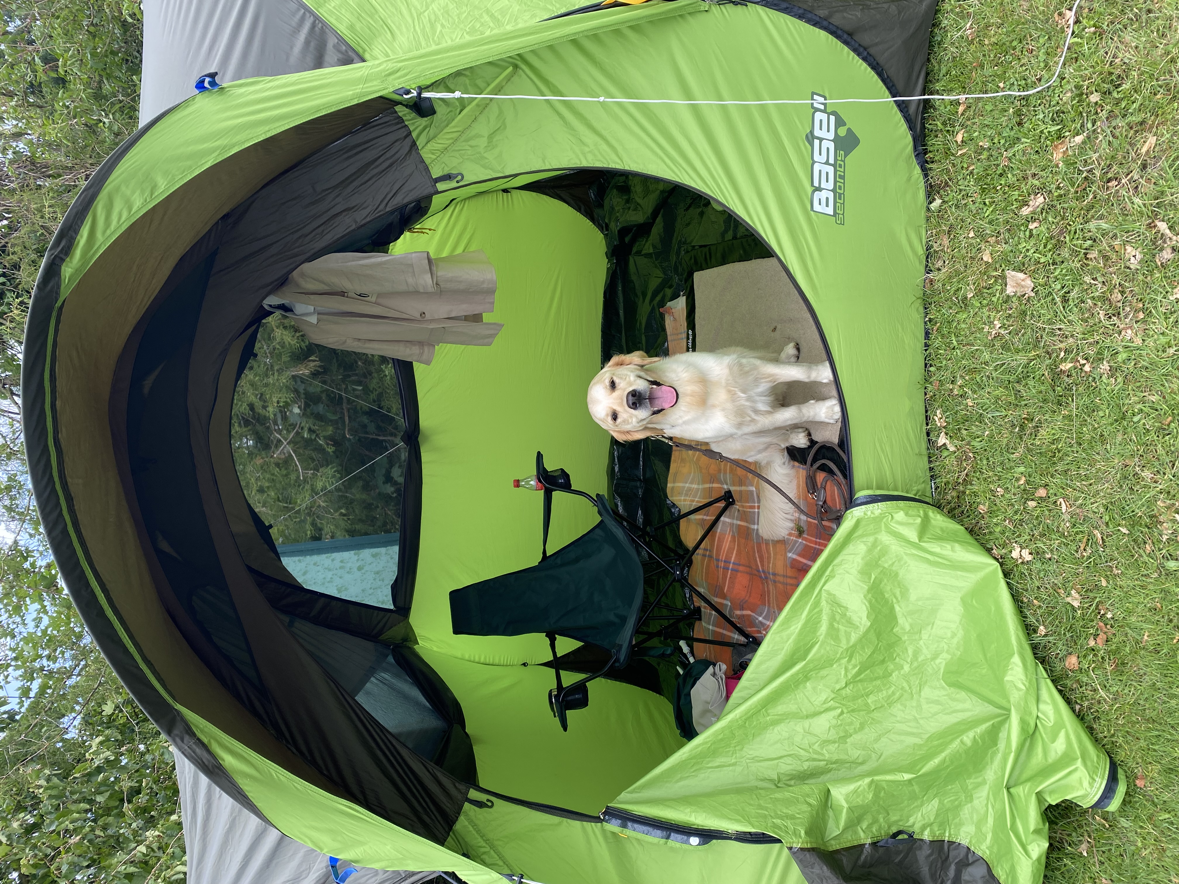 Golden Valley of Peace - Golden Retriever