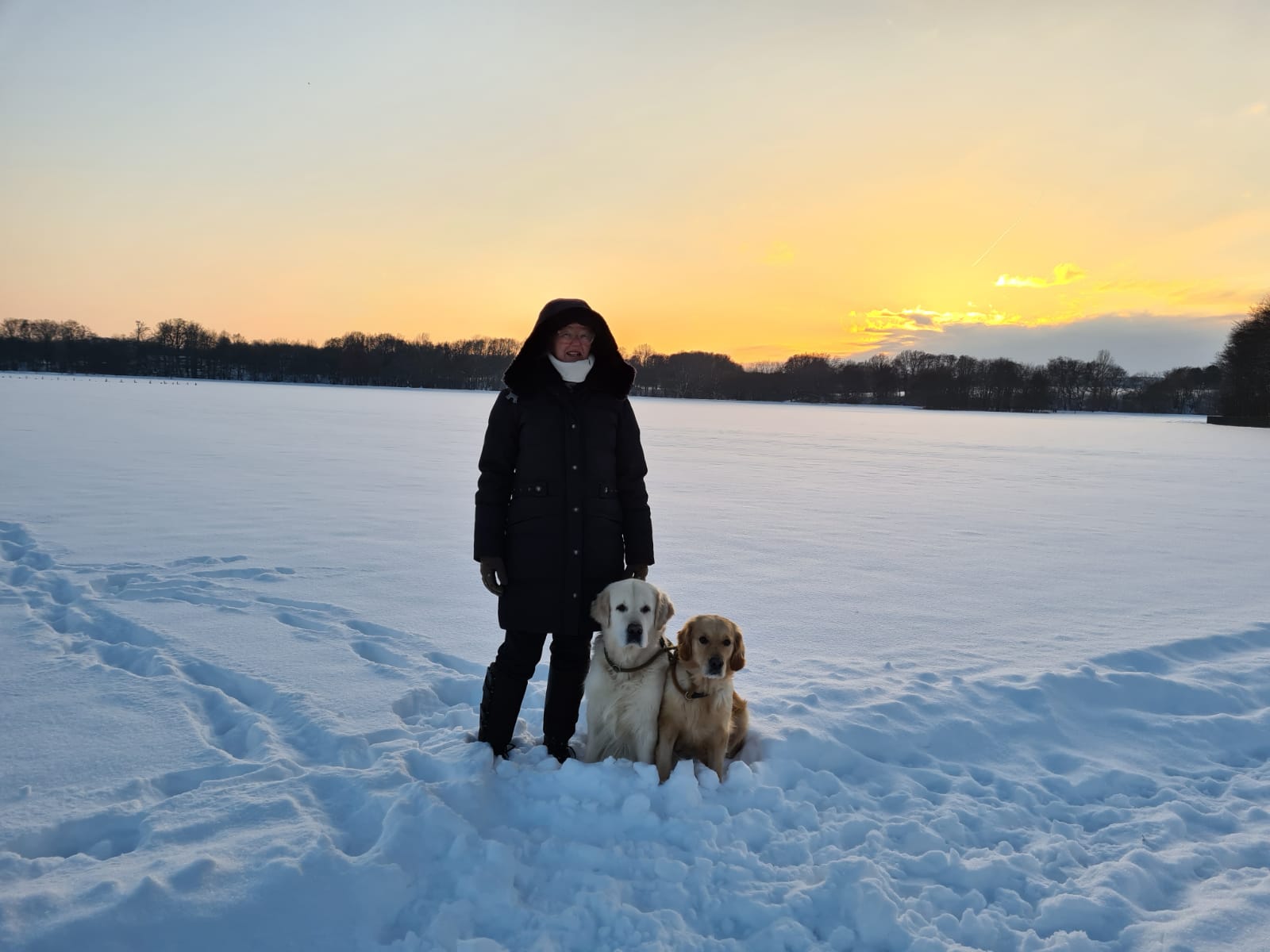 Golden Valley of Peace - Golden Retriever